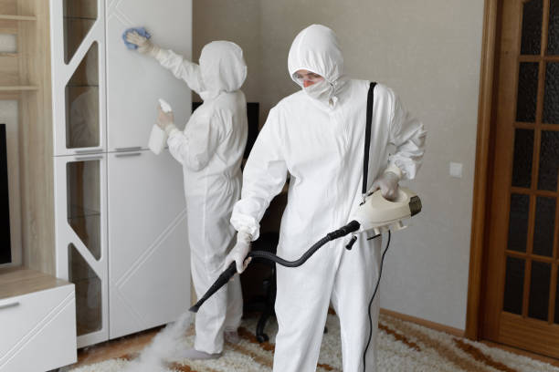 Best Attic Mold Remediation in Nellis Af, NV