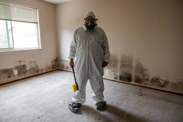 Best Black Mold Remediation in Nellis Af, NV